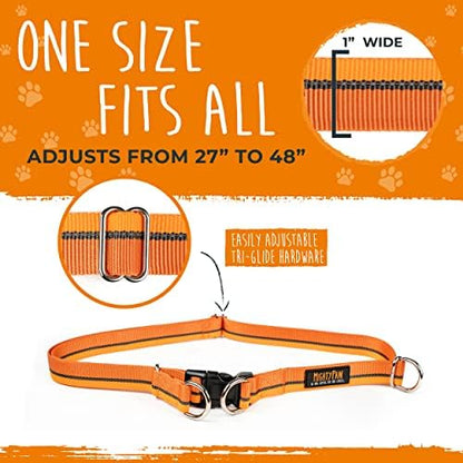 Dual padded handles on Mighty Paw dog walking lead