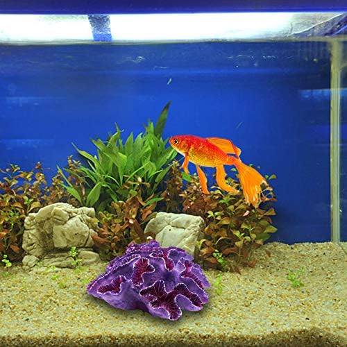 Besimple non toxic fish tank plants and coral decor setup