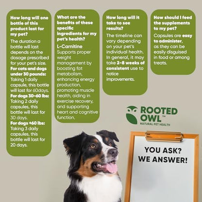 Rooted Owl weight management support for pet vitality