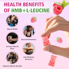 Liqherb Meenccd Hmb And L-Leucine Gummies key ingredients breakdown