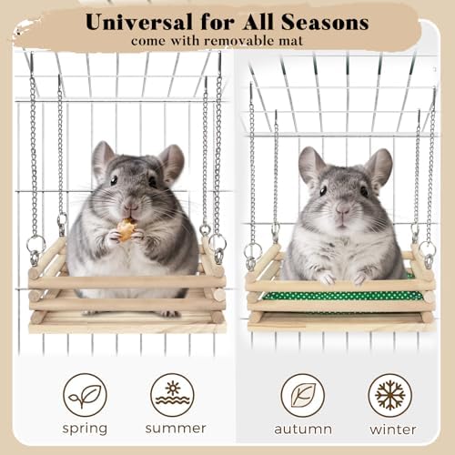Chinchilla resting comfortably on an elevated imported wooden platform