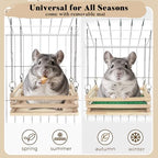 Chinchilla resting comfortably on an elevated imported wooden platform