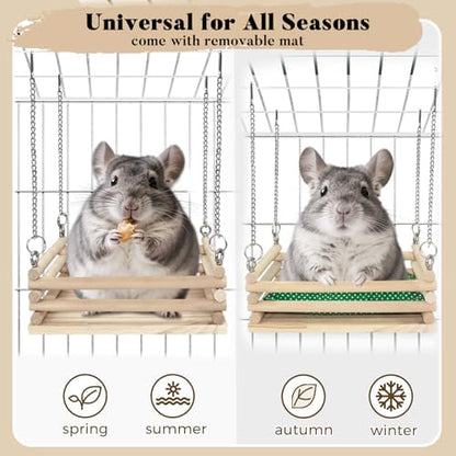 Chinchilla resting comfortably on an elevated imported wooden platform