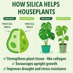 Houseplant Resource Center liquid silica concentrate texture and dropper