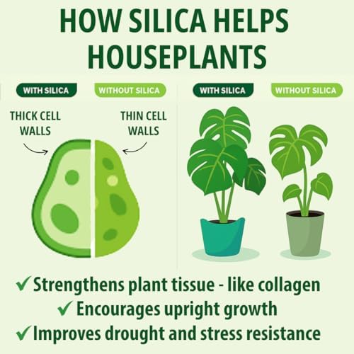 Houseplant Resource Center Silica Strength 8 Fluid Ounces bottle packaging