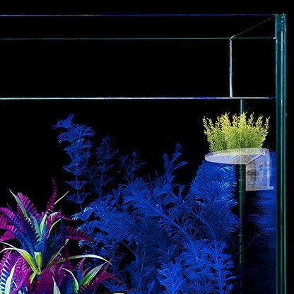 SLSON clear acrylic ledge installed inside an underwater aquarium landscape