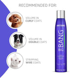 Artero pet styling texturizing aerosol spray for fine and limp hair