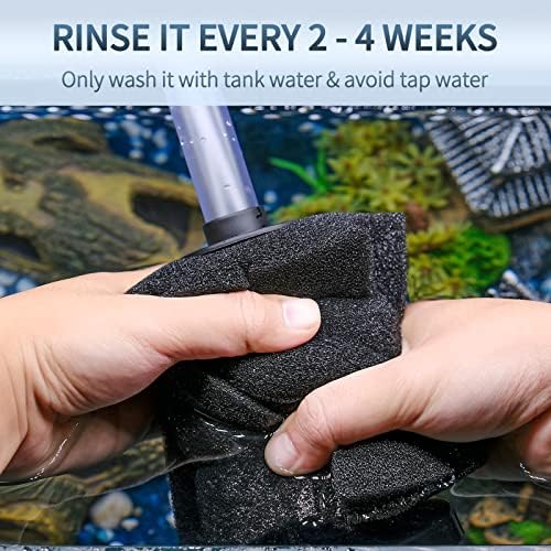 Aged aquarium water cleaning demonstration for sponge