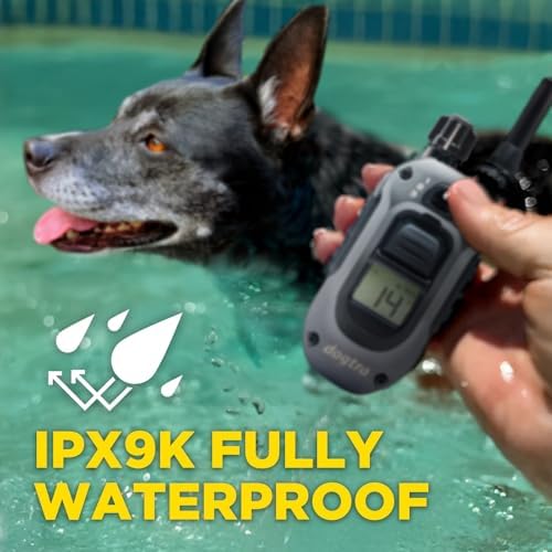Dogtra 280X heavy duty dog training e collar showing safety lock switch