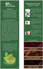 Six individual ten gram pouches of Kangana ammonia free henna powder