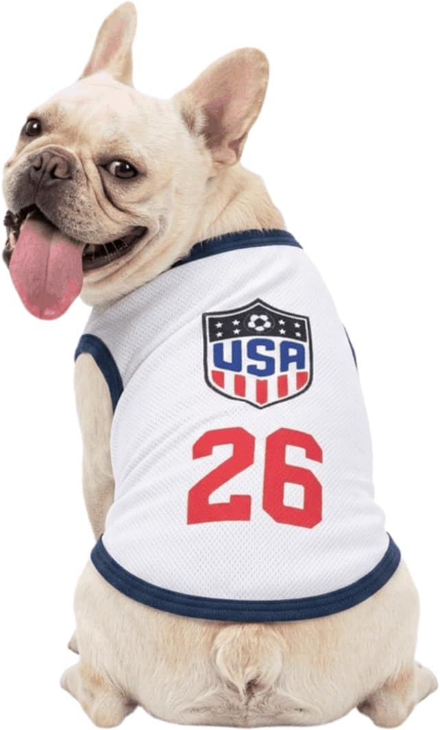 Small breed dog wearing summer cooling sports tank top