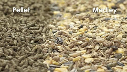 Kaytee Supreme Rabbit Food 5 lb - Image 6