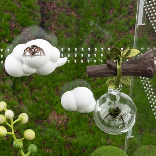 4 Pcs Jumping Spider Accessories Glass Ball Habitat Cloud Platform Ledges Jumping Spider Hide for Decorating Jumping Spider Enclosure Climbing & Exploration - Image 7