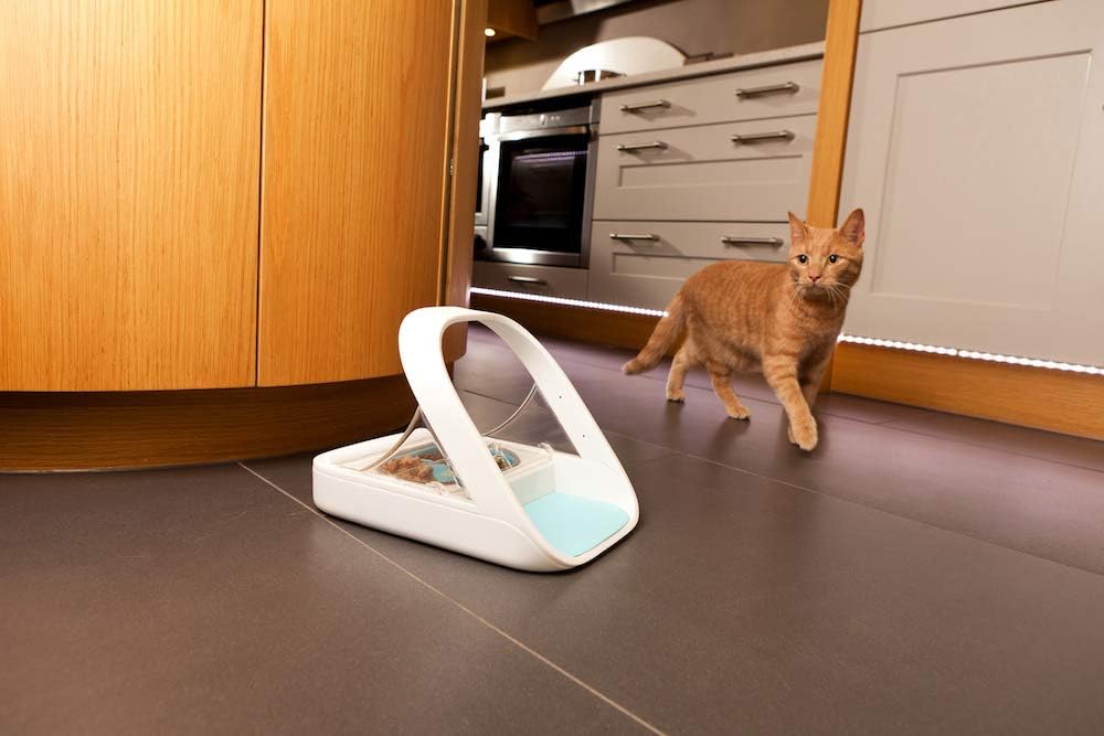 SureFeed automatic pet feeding station highlighting one button programming and battery operated arch