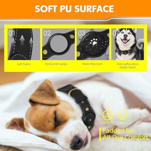 Bomerahe smart dog collar secure buckle and paw print logo detail