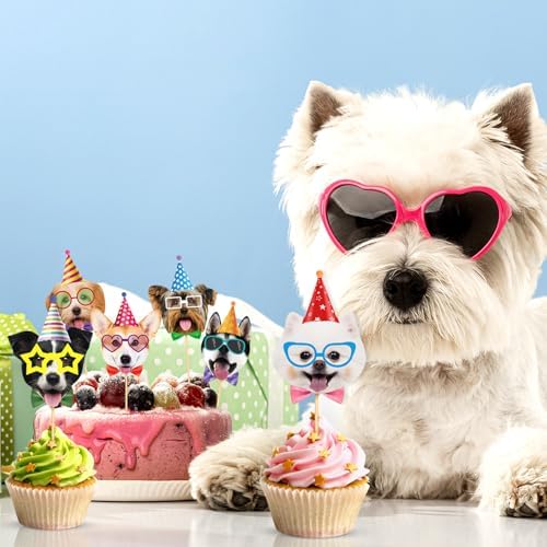 Full collection of 40 dog themed party decoration pieces