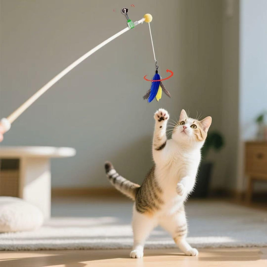 Natural feather teaser refills for indoor kitten exercise routines