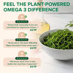 Zenwise Health Vegan Omega 3 nutritional information panel