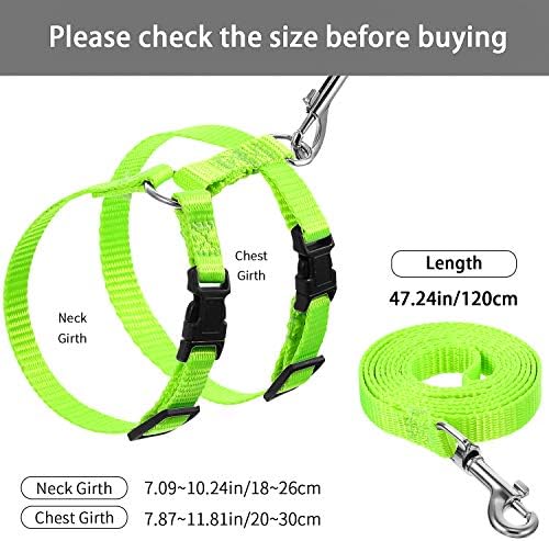 Outus small pet walking vest displayed with matching leash strap.
