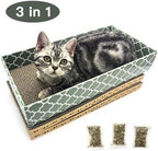 Cat relaxing inside the Mecool cardboard lounge bed