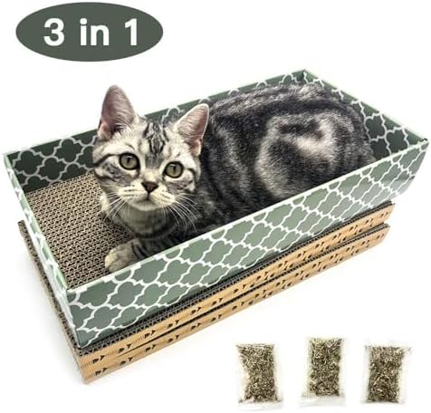 Cat relaxing inside the Mecool cardboard lounge bed