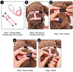Outus breathable bunny harness featuring quick-release plastic buckles.