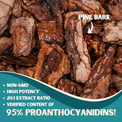 Premium non-GMO and vegan friendly French maritime pine bark extract capsule close up