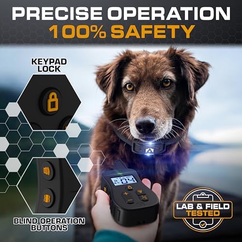 Invirox K9 training system with night light mode active