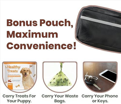 Blivorra hands-free leash set flat lay product view