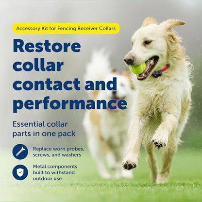 Long and short stainless steel contact points for PetSafe dog collars