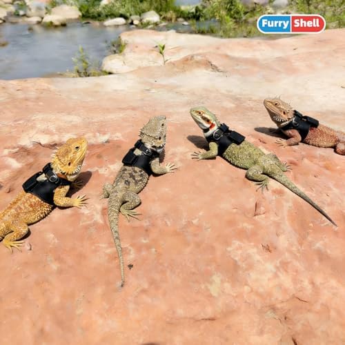 Side angle view of the comfortable anti chafe microfiber leather harness vest for bearded dragons.