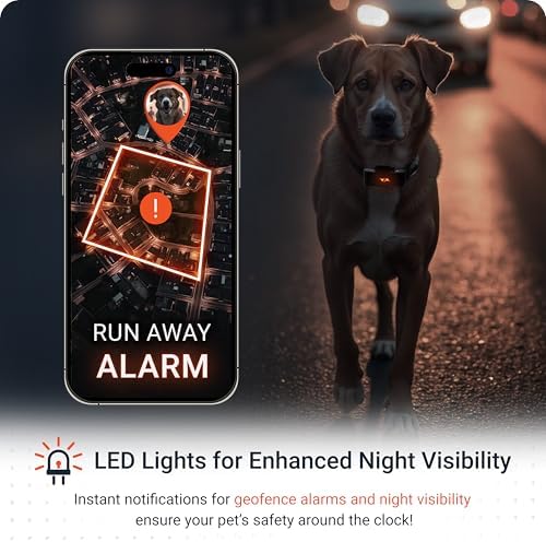 Mobile app interface showing pet tracking map