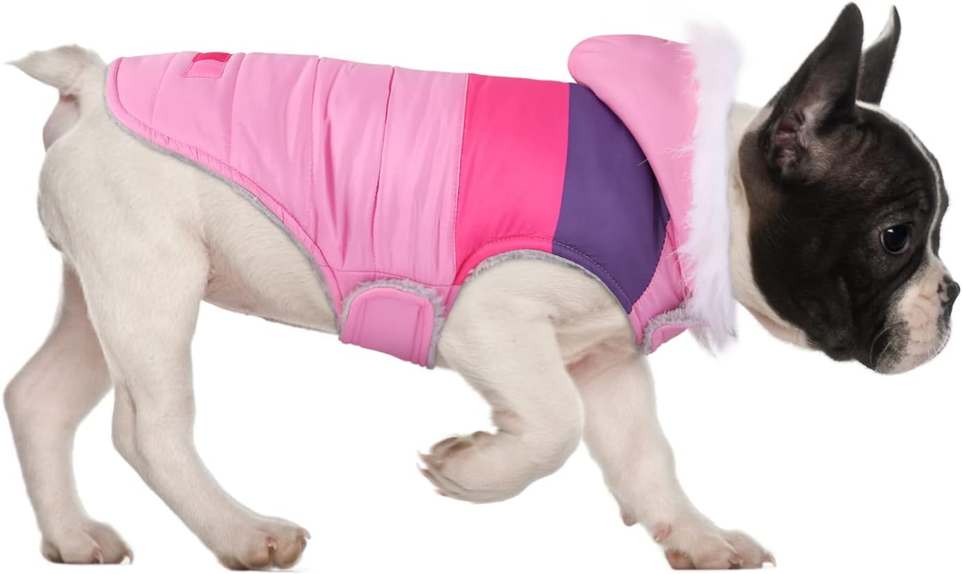 Size XXL HDE dog puffer jacket label and fit