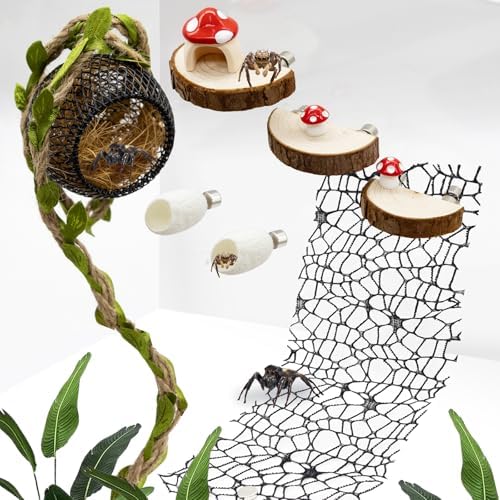 Jumping Spider Habitat Accessories Enclosure Habitat Accessories Jumping Spider Web Climbing and Feeding Platforms with Magnets for Small Insects Critters - Image 2