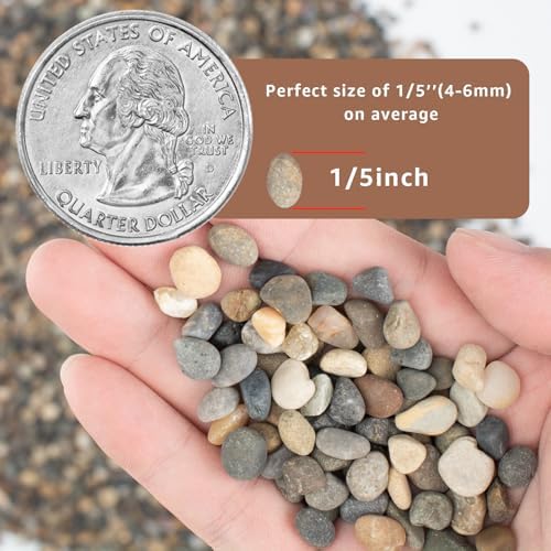 Small pebbles for plant drainage in flower pots
