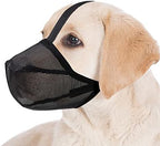 Miavers adjustable dog muzzle showing adjustable forehead and neck straps