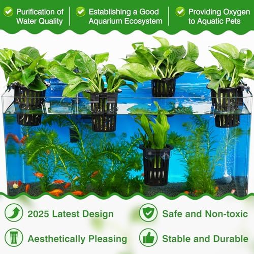 Borlech aquaponic plant cultivation holder with extension hooks mounted on an aquarium rim.
