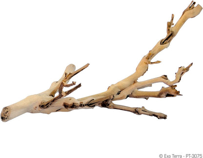 Small Exo Terra natural hardwood branch for reptile habitats