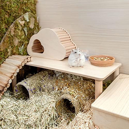 Niteangel Hamster Play Wooden Platform for Dwarf Syrian Hamsters Gerbils Mice Degus or Other Small Pets (Rectange - 7'' Height, Burlywood) - Image 3
