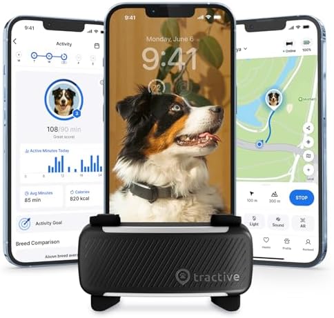Tractive GPS tracker attached to dog collar