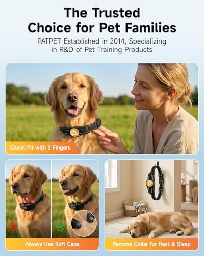 Rechargeable electric dog collar with remote display