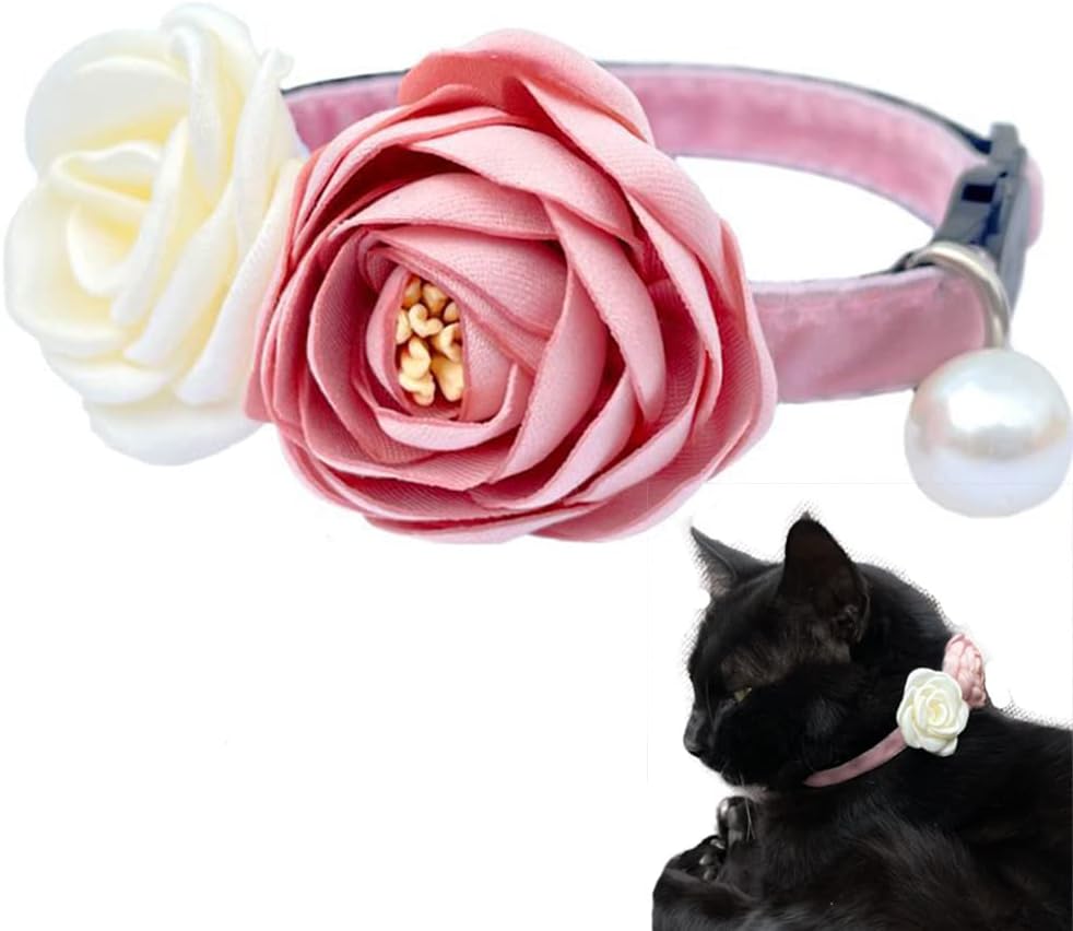 Demonstration of the two finger safety gap placement on the adjustable purple velvet collar