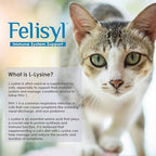 INSCN Felisyl L-Lysine Gel lifestyle cat health care
