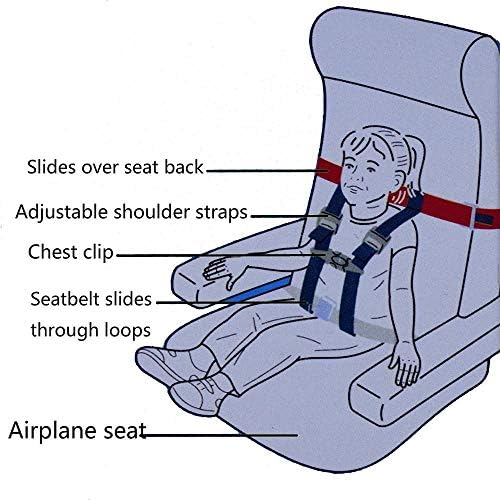 Detailed view of harness buckles for airplane travel