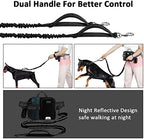 Detail of durable zinc alloy hardware on Etaccu leash