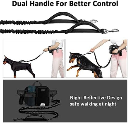 Detail of durable zinc alloy hardware on Etaccu leash