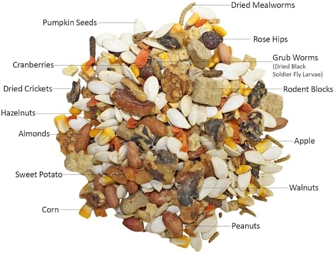 Exotic Nutrition Squirrel Complete small animal food side profile