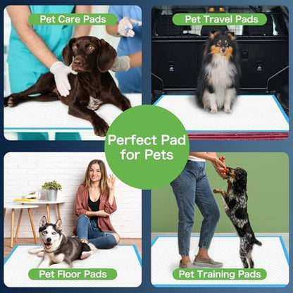 Bulk packaging box of MILDPLUS moderate absorbent underpads for family care.