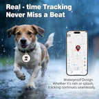 NGXDFL real time GPS pet locator app interface on a smartphone screen
