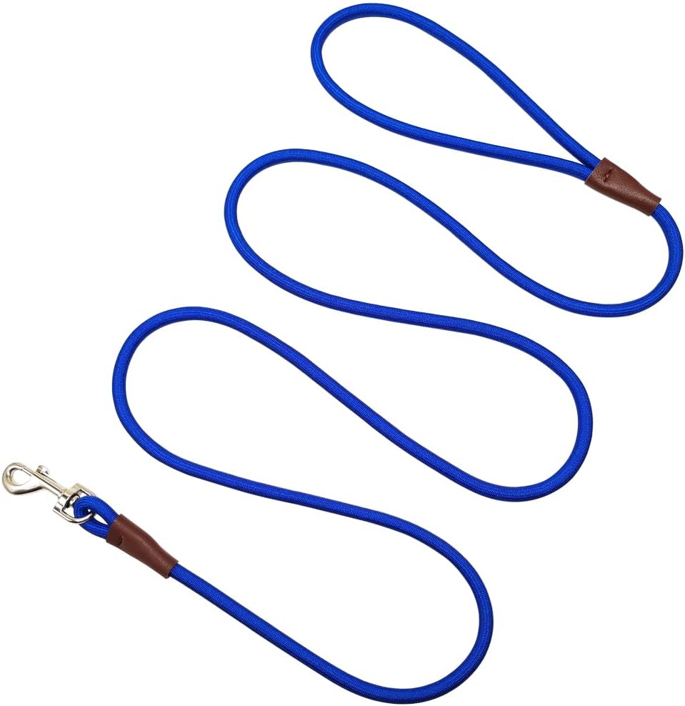 Small Dog Leash, 1/4" by 6/8/10 FT Lightweight Strong Nylon Rope Leash, Bright Classic Lead for Small Pets/Puppy (6ft, Black) - Image 13